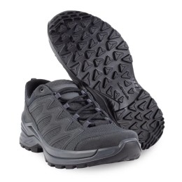Ботинки LOWA Innox GTX PRO Lo TF Wolf
